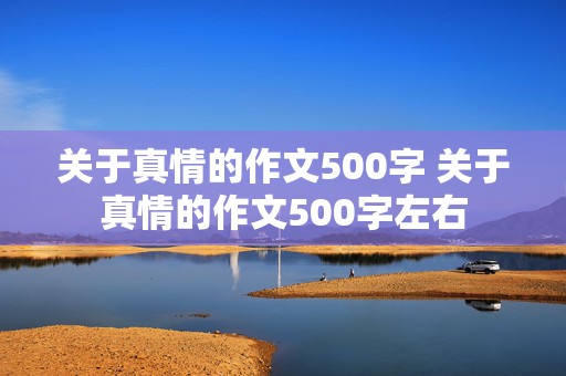 关于真情的作文500字 关于真情的作文500字左右