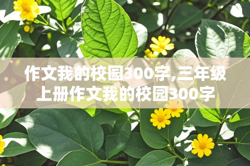 作文我的校园300字,三年级上册作文我的校园300字