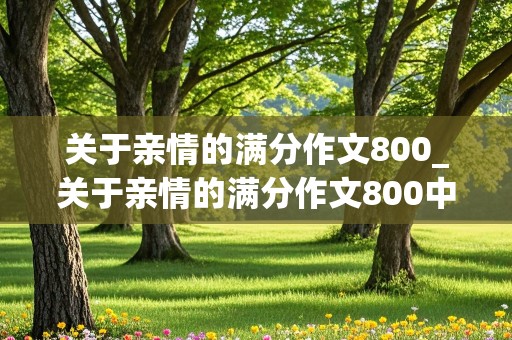 关于亲情的满分作文800_关于亲情的满分作文800中招