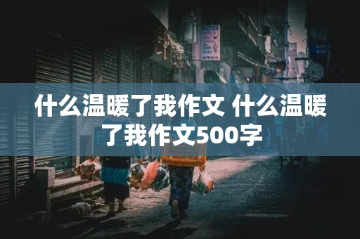 什么温暖了我作文 什么温暖了我作文500字