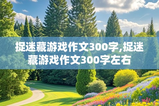 捉迷藏游戏作文300字,捉迷藏游戏作文300字左右