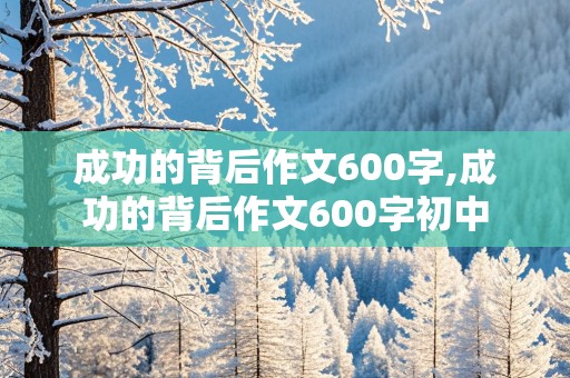 成功的背后作文600字,成功的背后作文600字初中