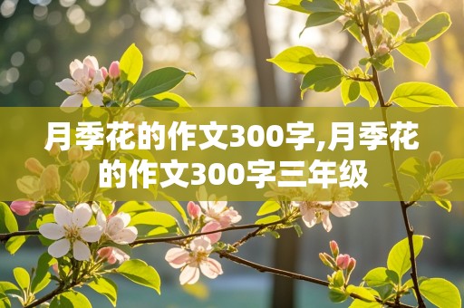 月季花的作文300字,月季花的作文300字三年级