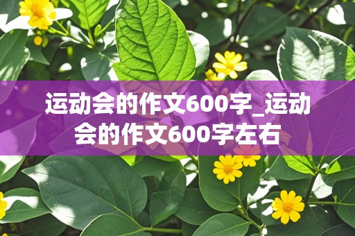 运动会的作文600字_运动会的作文600字左右