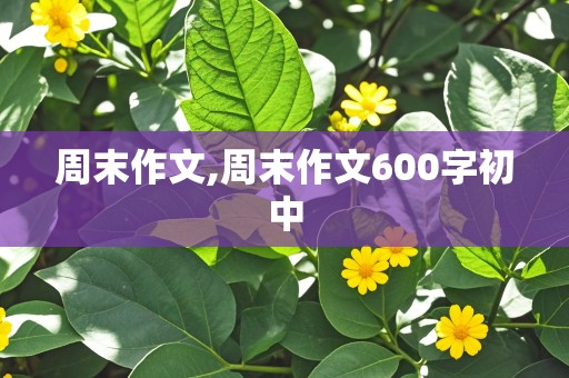 周末作文,周末作文600字初中