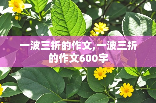 一波三折的作文,一波三折的作文600字