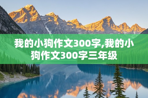 我的小狗作文300字,我的小狗作文300字三年级