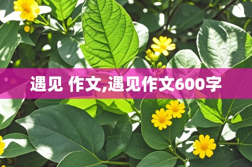 遇见 作文,遇见作文600字