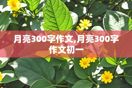 月亮300字作文,月亮300字作文初一