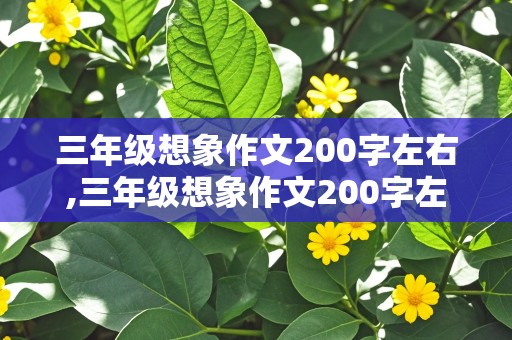 三年级想象作文200字左右,三年级想象作文200字左右简单