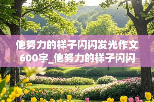 他努力的样子闪闪发光作文600字_他努力的样子闪闪发光作文600字左右