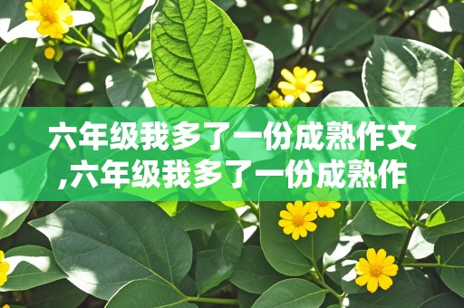 六年级我多了一份成熟作文,六年级我多了一份成熟作文 记叙文怎么写