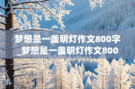 梦想是一盏明灯作文800字_梦想是一盏明灯作文800字初中