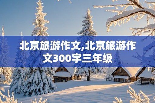 北京旅游作文,北京旅游作文300字三年级