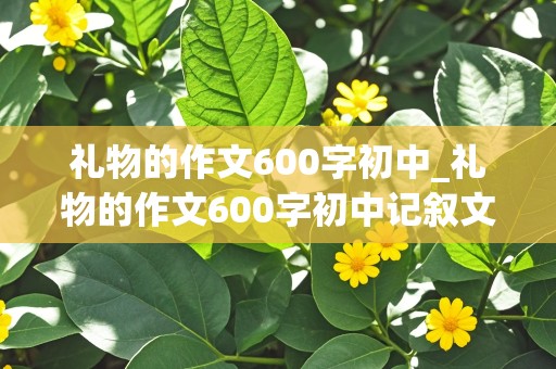 礼物的作文600字初中_礼物的作文600字初中记叙文