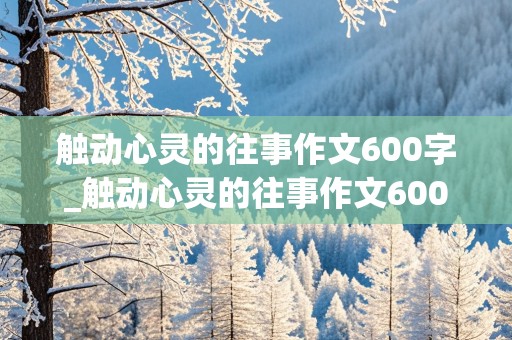 触动心灵的往事作文600字_触动心灵的往事作文600字初中