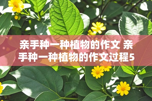 亲手种一种植物的作文 亲手种一种植物的作文过程50个字