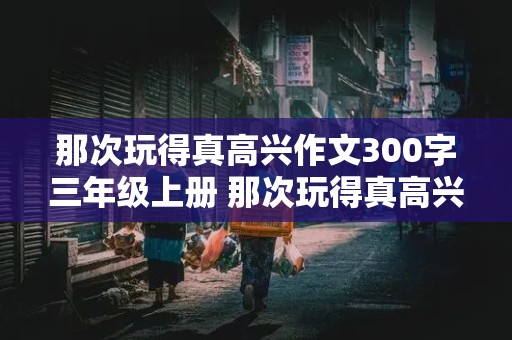 那次玩得真高兴作文300字三年级上册 那次玩得真高兴作文300字三年级上册下雪