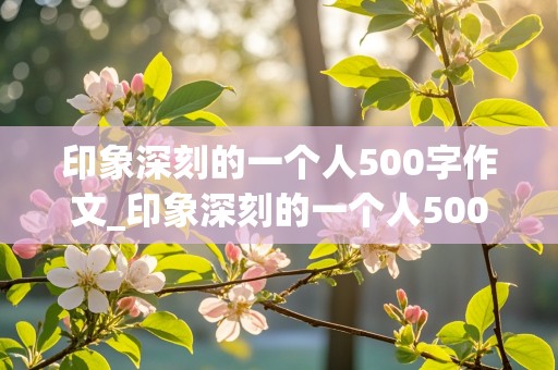 印象深刻的一个人500字作文_印象深刻的一个人500字作文老师