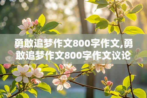 勇敢追梦作文800字作文,勇敢追梦作文800字作文议论文高中