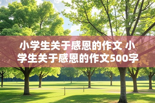 小学生关于感恩的作文 小学生关于感恩的作文500字