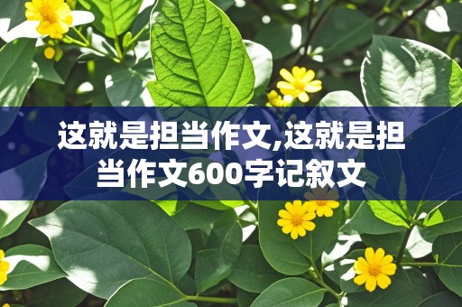 这就是担当作文,这就是担当作文600字记叙文