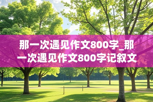 那一次遇见作文800字_那一次遇见作文800字记叙文