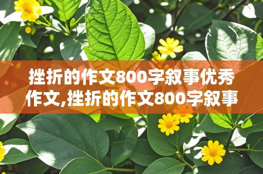 挫折的作文800字叙事优秀作文,挫折的作文800字叙事优秀作文高中