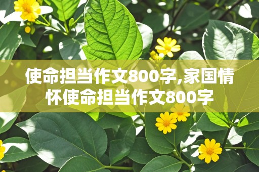 使命担当作文800字,家国情怀使命担当作文800字