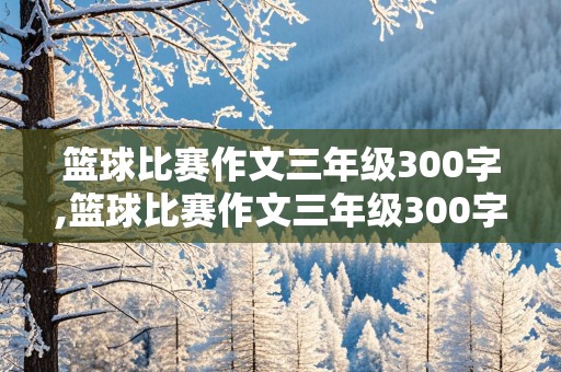 篮球比赛作文三年级300字,篮球比赛作文三年级300字周记