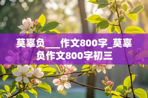 莫辜负___作文800字_莫辜负作文800字初三