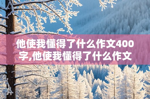 他使我懂得了什么作文400字,他使我懂得了什么作文400字怎么写