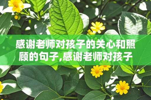 感谢老师对孩子的关心和照顾的句子,感谢老师对孩子的关心和照顾的句子简单