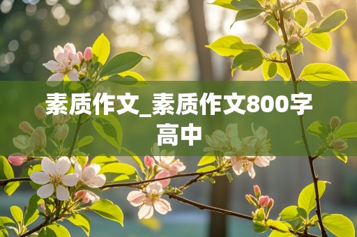 素质作文_素质作文800字高中