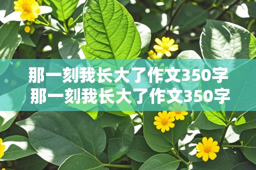 那一刻我长大了作文350字 那一刻我长大了作文350字左右