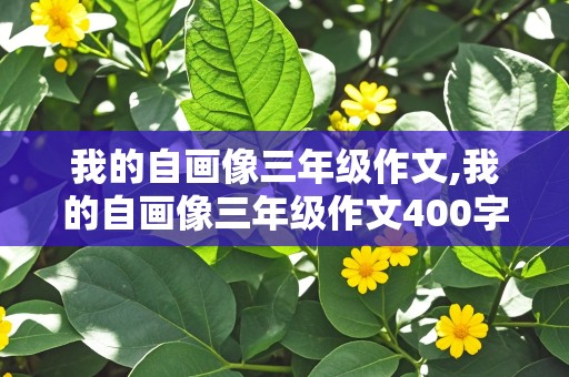 我的自画像三年级作文,我的自画像三年级作文400字