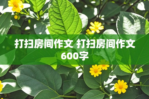 打扫房间作文 打扫房间作文600字