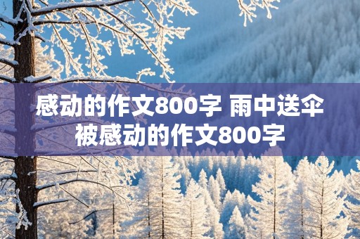 感动的作文800字 雨中送伞被感动的作文800字