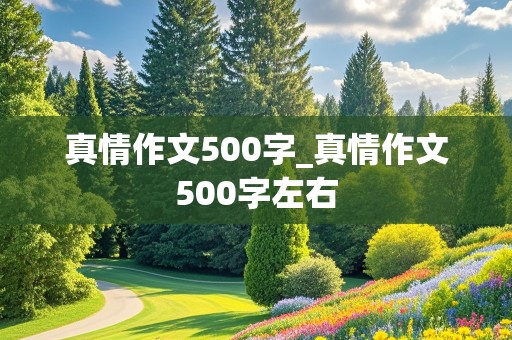 真情作文500字_真情作文500字左右