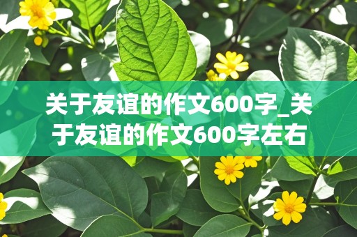 关于友谊的作文600字_关于友谊的作文600字左右