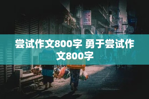 尝试作文800字 勇于尝试作文800字