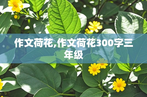 作文荷花,作文荷花300字三年级