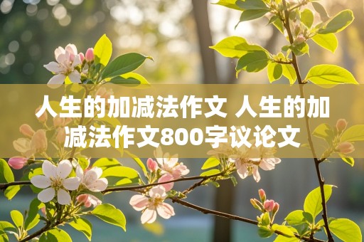 人生的加减法作文 人生的加减法作文800字议论文