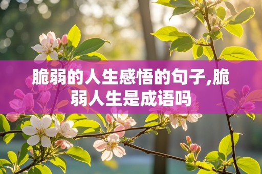 脆弱的人生感悟的句子,脆弱人生是成语吗