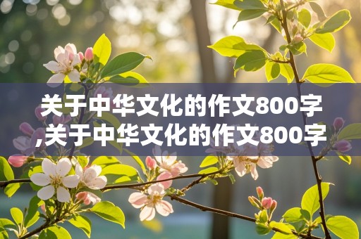 关于中华文化的作文800字,关于中华文化的作文800字高中