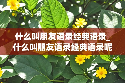 什么叫朋友语录经典语录_什么叫朋友语录经典语录呢