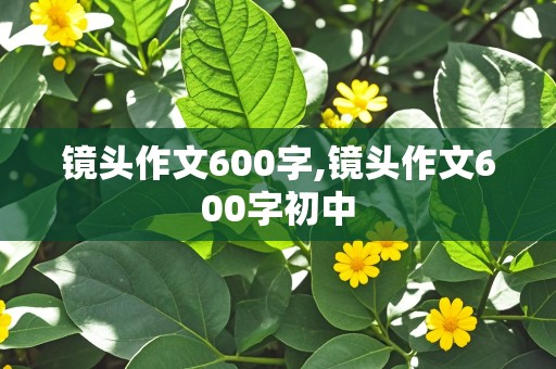 镜头作文600字,镜头作文600字初中