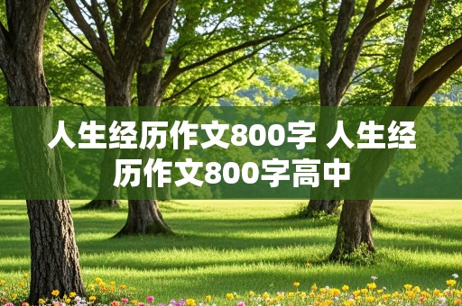 人生经历作文800字 人生经历作文800字高中