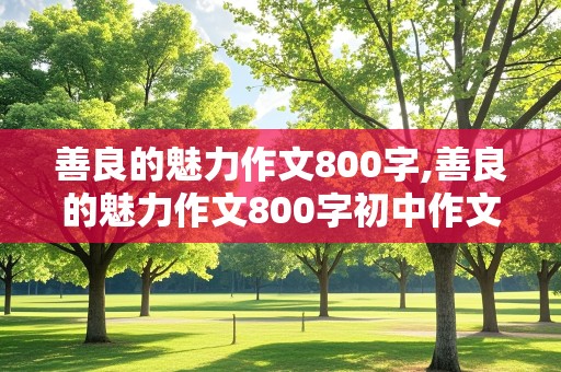 善良的魅力作文800字,善良的魅力作文800字初中作文