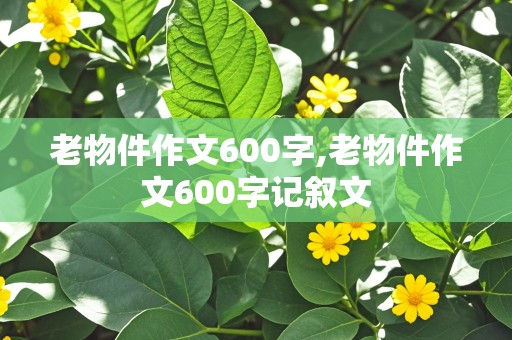 老物件作文600字,老物件作文600字记叙文